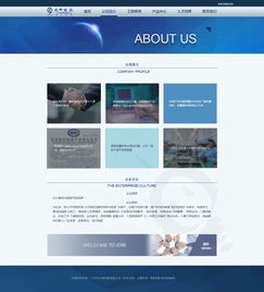 信息系統集成背景下的網頁設計改版策略